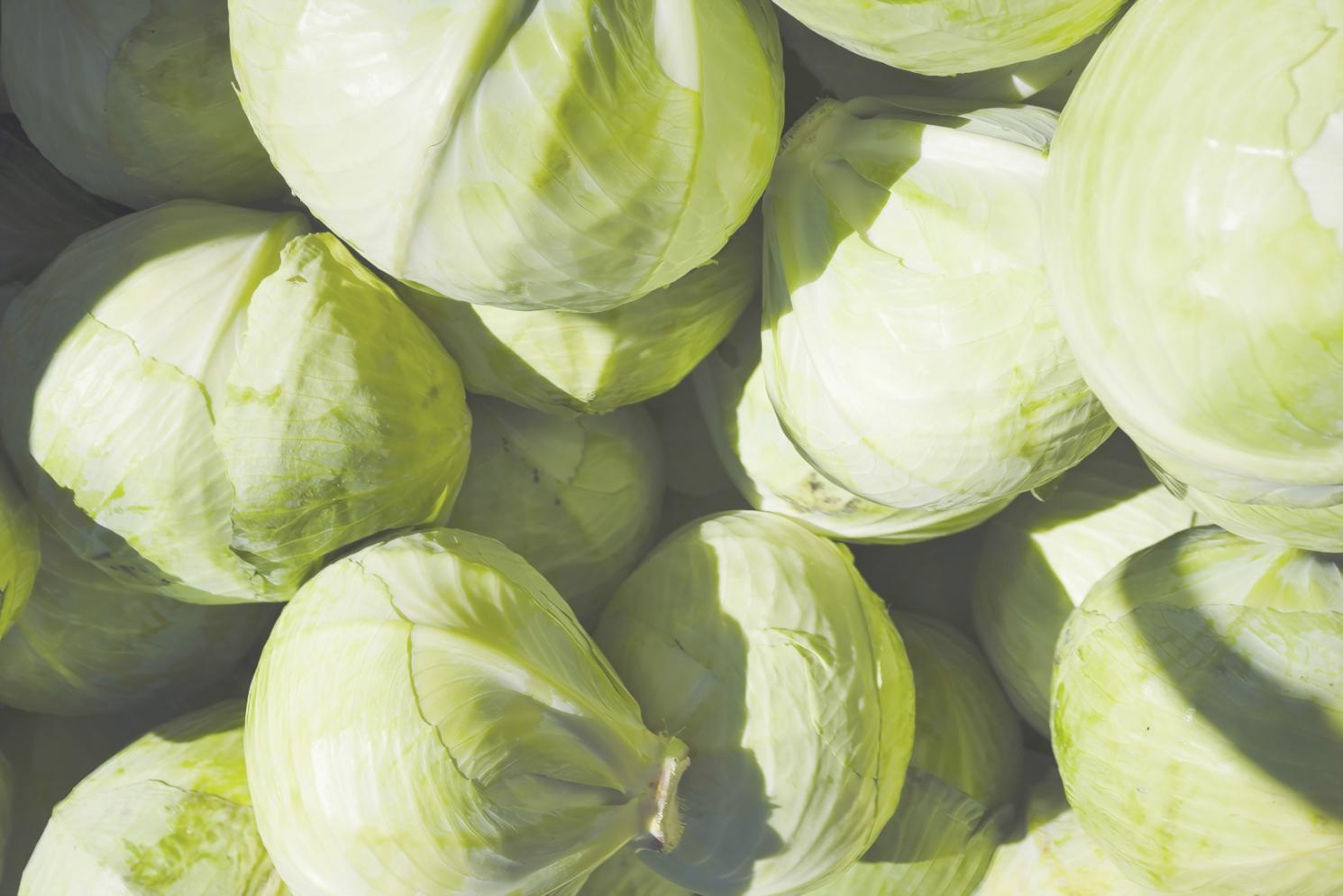 Detailaufnahme einer kunstvoll angerichteten kulinarischen Kreation